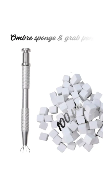 Ombre Sponge With Grab Pen